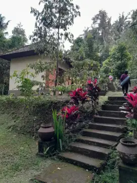 Tanah bonus quest house 24are pemandangan exotic giri kusuma bangli
