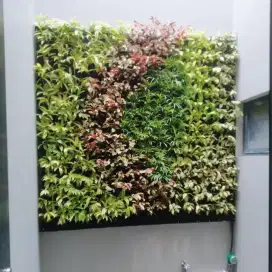 Taman vertical garden-vertical garden-landscape vertical garden-taman