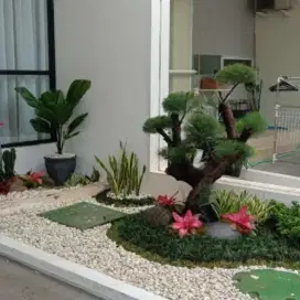 Tukang taman-tukang kolam koi-landscape-tanaman hias