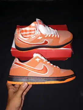 Nike SB Dunk Low Concepts Lobster Orange Size 44 Brand New BNIB