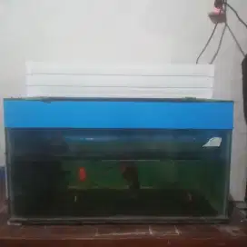 Akuarium 60x40x40
