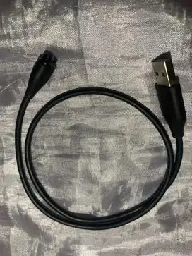 Charger data Garmin