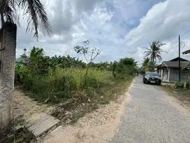 Dijual Tanah Pekarangan
