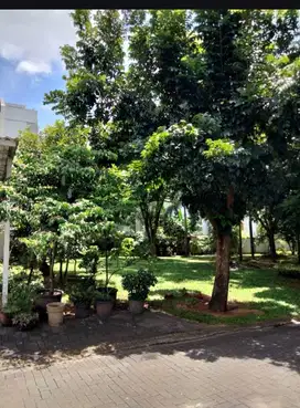 Di jual cepat kavling bagus dan cakep lokasi Bumi serpong damai Trg
