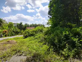 Tanah Pekarangan Luas 1.368m2 hanya 500 darijalan wates