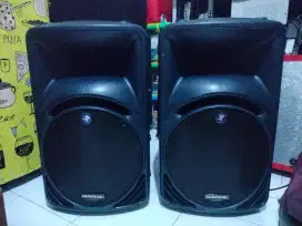 Mackie SRM 450 v2 joss