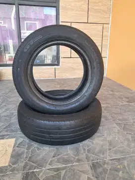 Ban GT Radial Champiro Eco