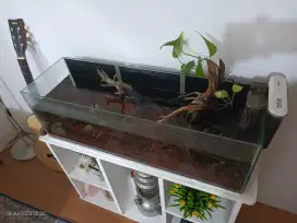 Dijual ikan louhan beserta aquarium