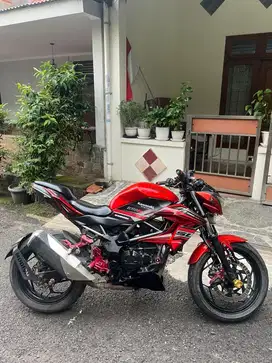 Jual Kawasaki Z250SL Tahun 2014 (SS LENGKAP)