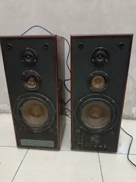 Speaker aktif Polytron pas 06M
