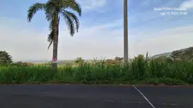 Pasuruan. Prigen. Lahan untuk vila atau cafe