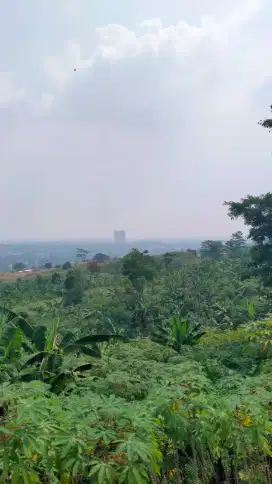 Lokasi strategis Jona kuning Jalan lebar Di bogor sentul
