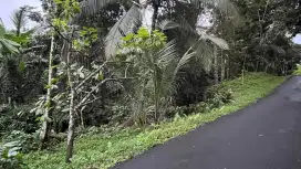 Jual tanah luas kecil area Villa desa wisata di tabanan Bali.