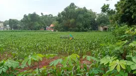 Dijual Tanah di Daerah Semanding, Tuban
