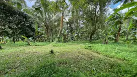 Jual kebun aneka buah murah di tabanan bali