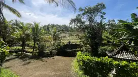 Jual tanah kebun harga murah view sawah di tabanan bali