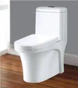 Perbaikan sanitary