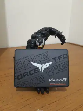 Ssd Team Elite T-FORCE Vulcan Z 1TB