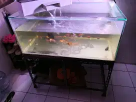 Akuarium+ rak nya