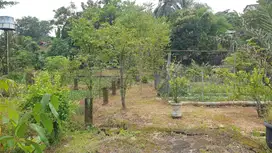 Tanah Di Lokasi Strategis Dekat Puspitek Serpong Cocok Untuk Hunian at