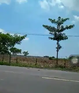 1763. Tanah Industri Raya Tuban Babat kec Widang Tuban