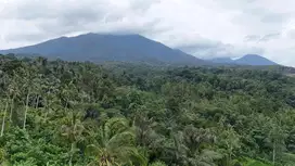 Jual tanah luasan kecil view gunung sejuk di tabanan bali
