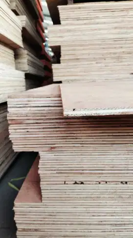 Triplek murah semi meranti, sengon, Phenolic