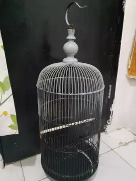 Kndng besi bekas love bird