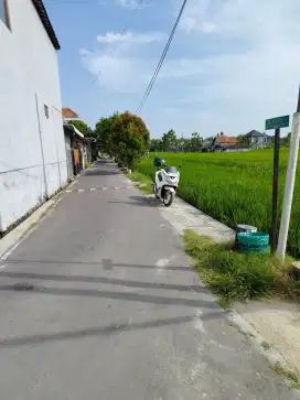 Tanah Selatan Hotel Tamansari Karanganyar Kota