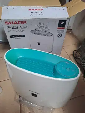 Sharp air purifier FP-J30Y