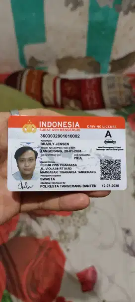 Supir / driver pribadi