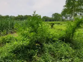 Tanah Luas Siap Bangun Lokasi 0 Jalan Raya Nasional Mojokerto