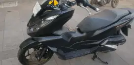 PCX 160 ABS th 2023 istimewa pjk baru
