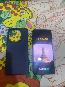 Iqoo neo 10 ram 12/256
