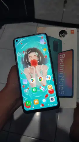 Xiaomi Redmi Note 9 Ram 6/128 gb