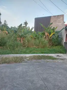 Tanah dijual di marapalam