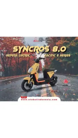 Sepeda Syncorus 8.0