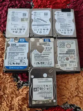 Harddisk 2.5 inch Sentinel 100%