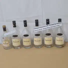 Botol Kosong Bekas Minuman Import HENISI Koleksi Botol Hiasan Kamar