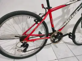 polygon neptune aloy ban 26