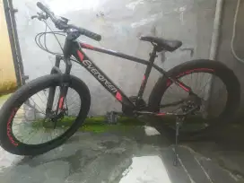 Sepeda Evergreen Evergreen Mtb 570b