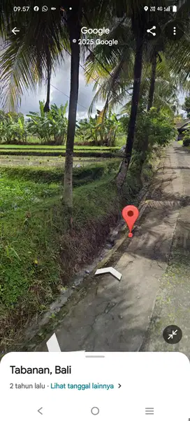 Jual Tanah 810m2 utk VILLA di Bongan Puseh Tabanan