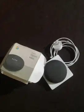 Google Home Mini