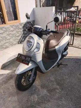 Scoopy pristige 2022