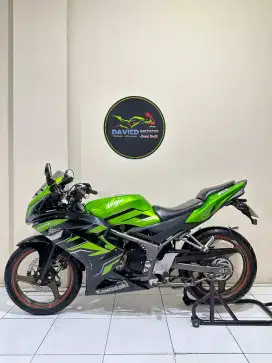 Ninja Rr new 2015