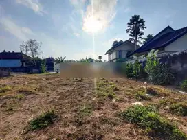 Tanah los sungai view sawah kawasan villa komersial di Ubud