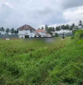 Tanah premium di jalan utama ubud, kawasan resort, kontur datar