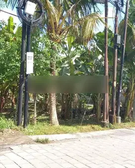 Tanah di jalan raya utama Bisma Sentral Ubud, akses jalan 7 meter