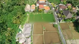 Tanah lokasi premium dekat central ubud, los sungai dan view sawah