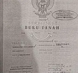 Tanah kontur datar super langka di jalan raya utama Teuku Umar